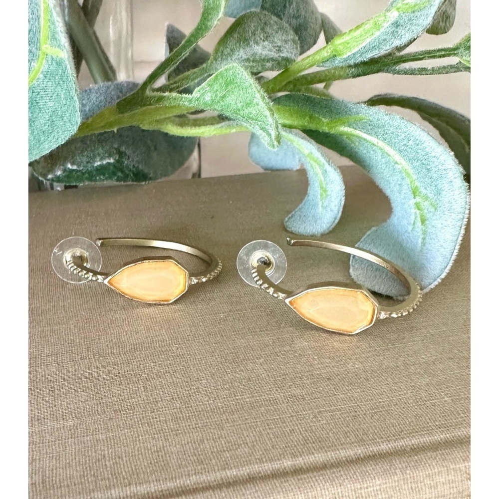 Fashion hoops - Picture 1 of 4